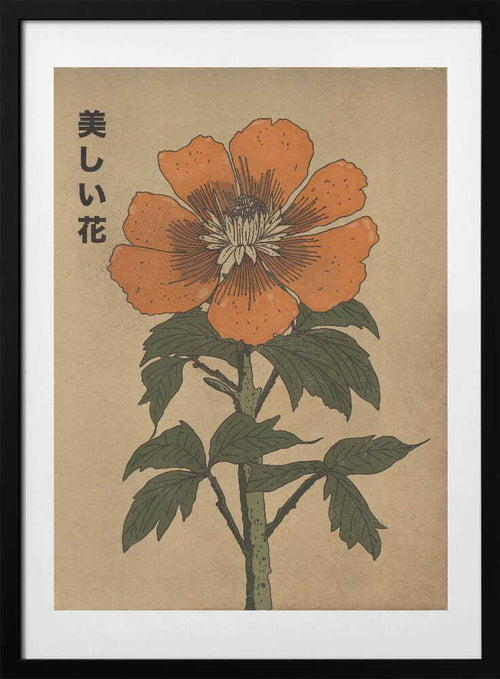 Beautiful Japanese Flower, arte de Nicholas con marco