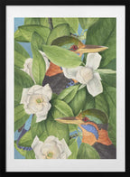 Tropical Kingfishers Magnolias, arte de Marja van den Hurk con marco