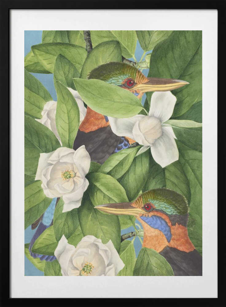 Tropical Kingfishers Magnolias, arte de Marja van den Hurk con marco