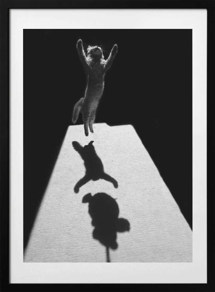 Jumping Cat Shadow, arte de Jure Kravanja con marco