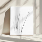 Graceful Reed Bird
