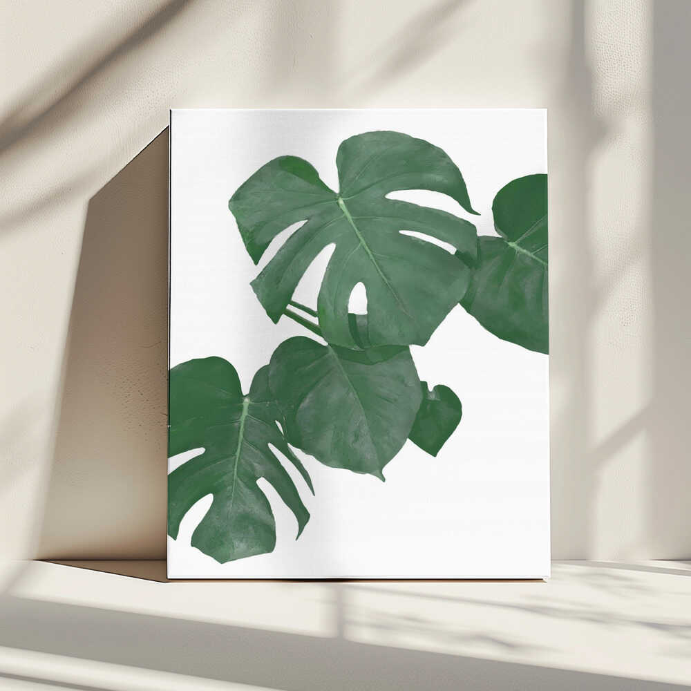 Lush Monstera Leaves, arte de Pictufy Studio II impreso en canvas