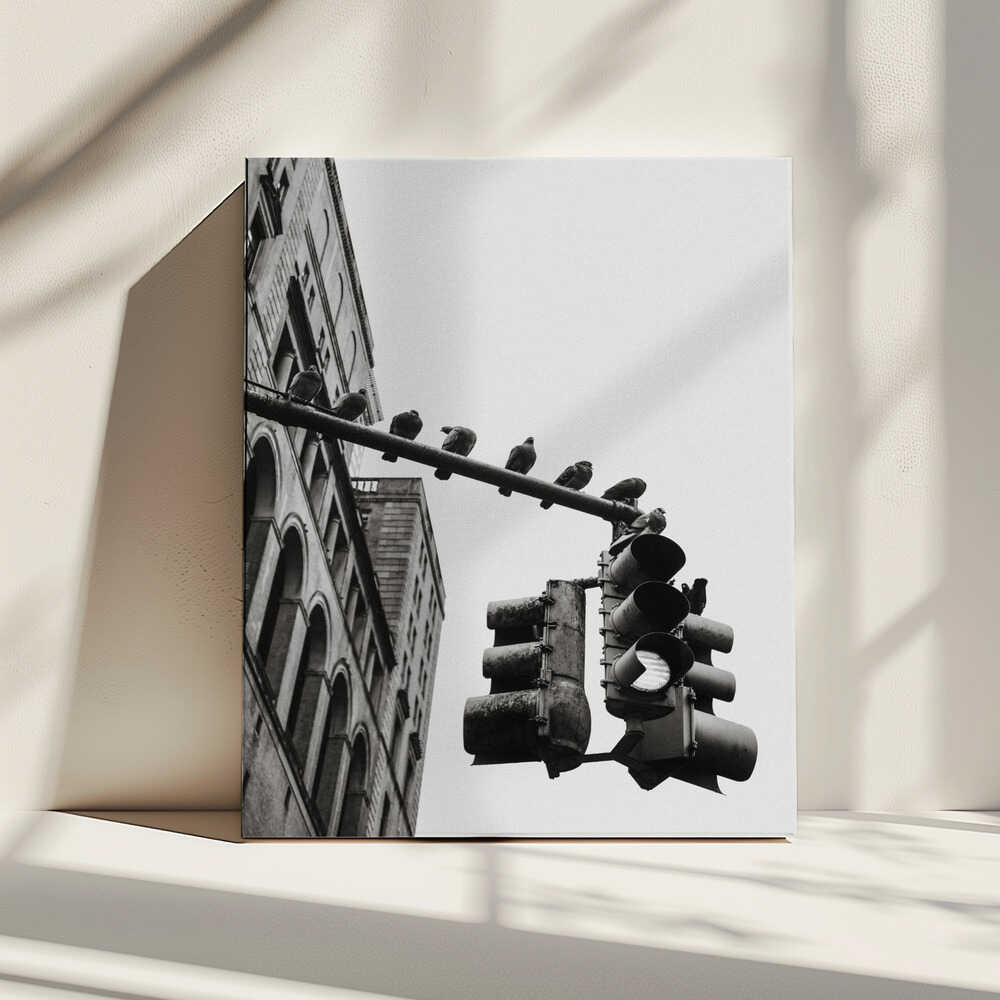 New York City Doves, arte de Rikard Martin impreso en canvas