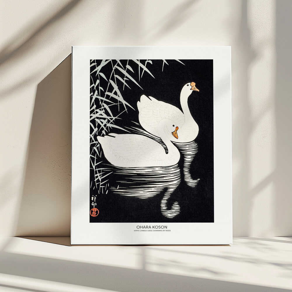 White Chinese Geese Swimming by Reeds, arte de Ohara Koson impreso en canvas