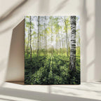 Birch Grove vertical