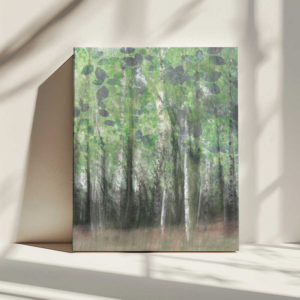 Dreamy Birch Woods, arte de Christina Sillen impreso en canvas