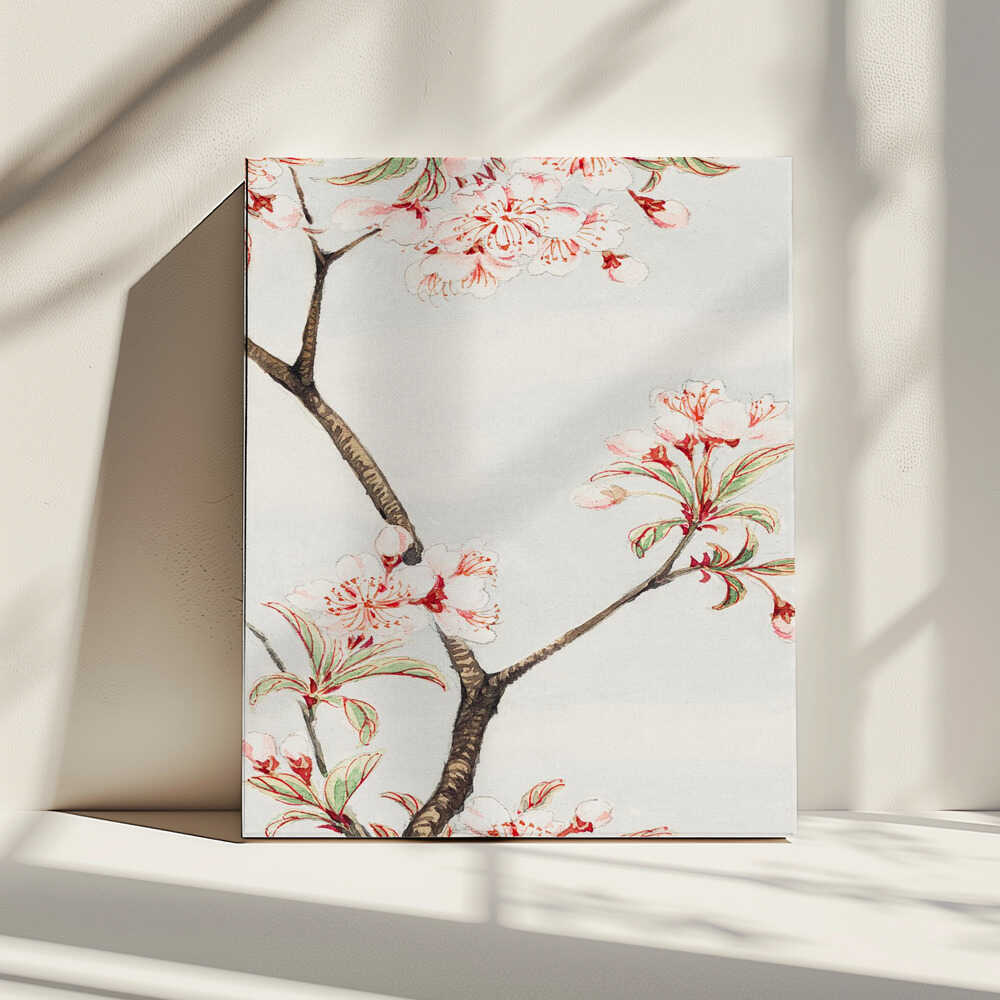 Sakura Cherry During 1870–1880, arte de Megata Morikaga impreso en canvas