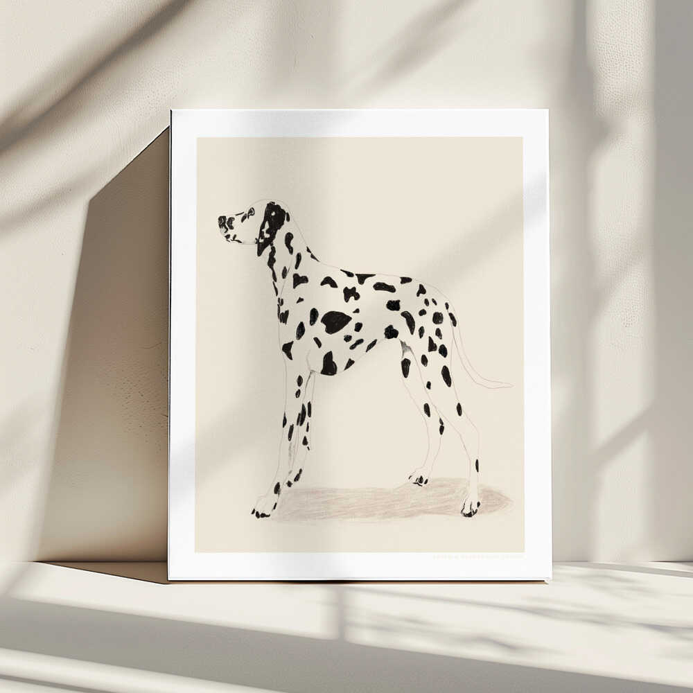 Pandc Dalmation, arte de Jenny Liz Rome impreso en canvas