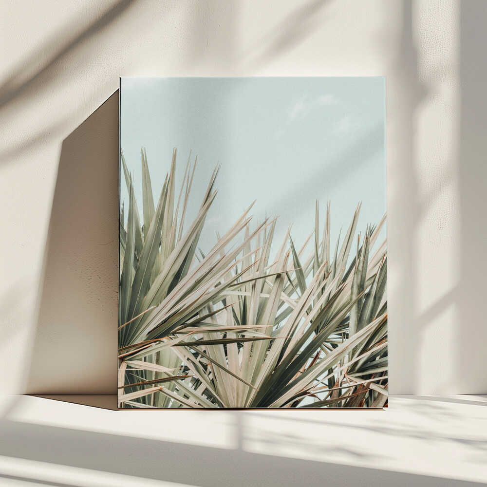 Skyward Palm Leaves, arte de Olivia Joy StClaire impreso en canvas