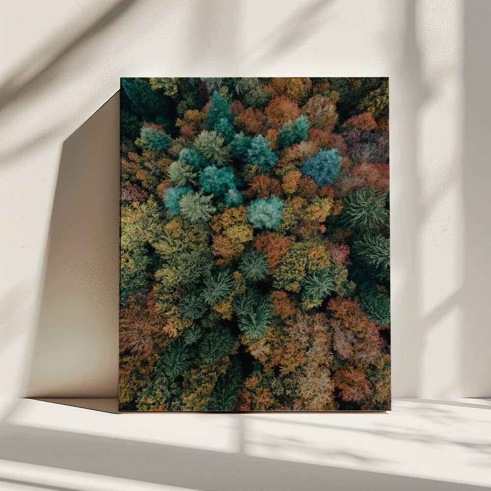 Vibrant Autumn Forest, arte de Javier Pardina impreso en canvas