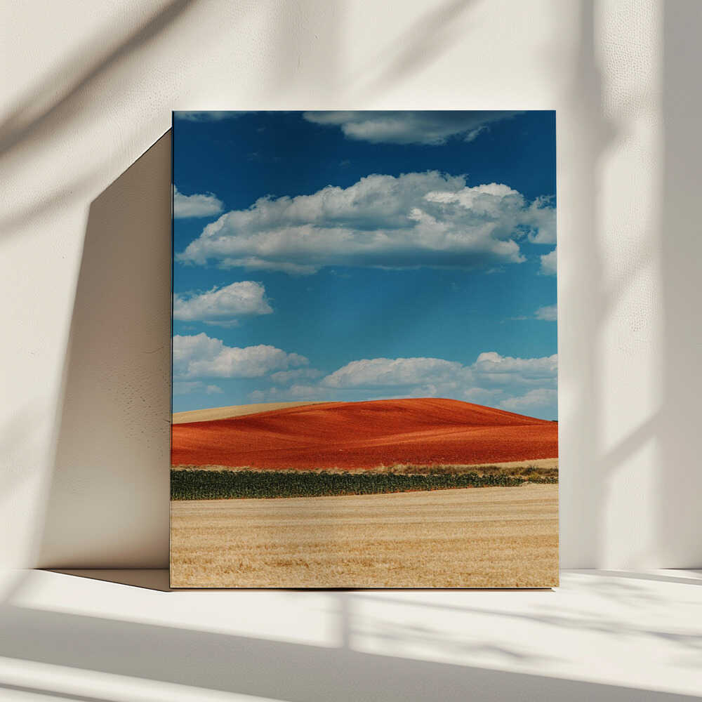 Red Field Blue Sky, arte de Javier Pardina impreso en canvas
