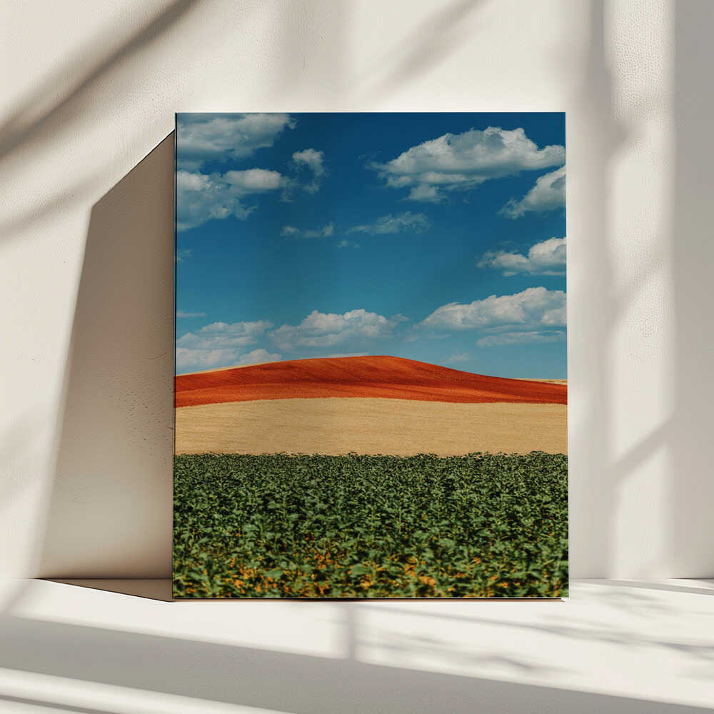 Colorful Farm Landscape, arte de Javier Pardina impreso en canvas