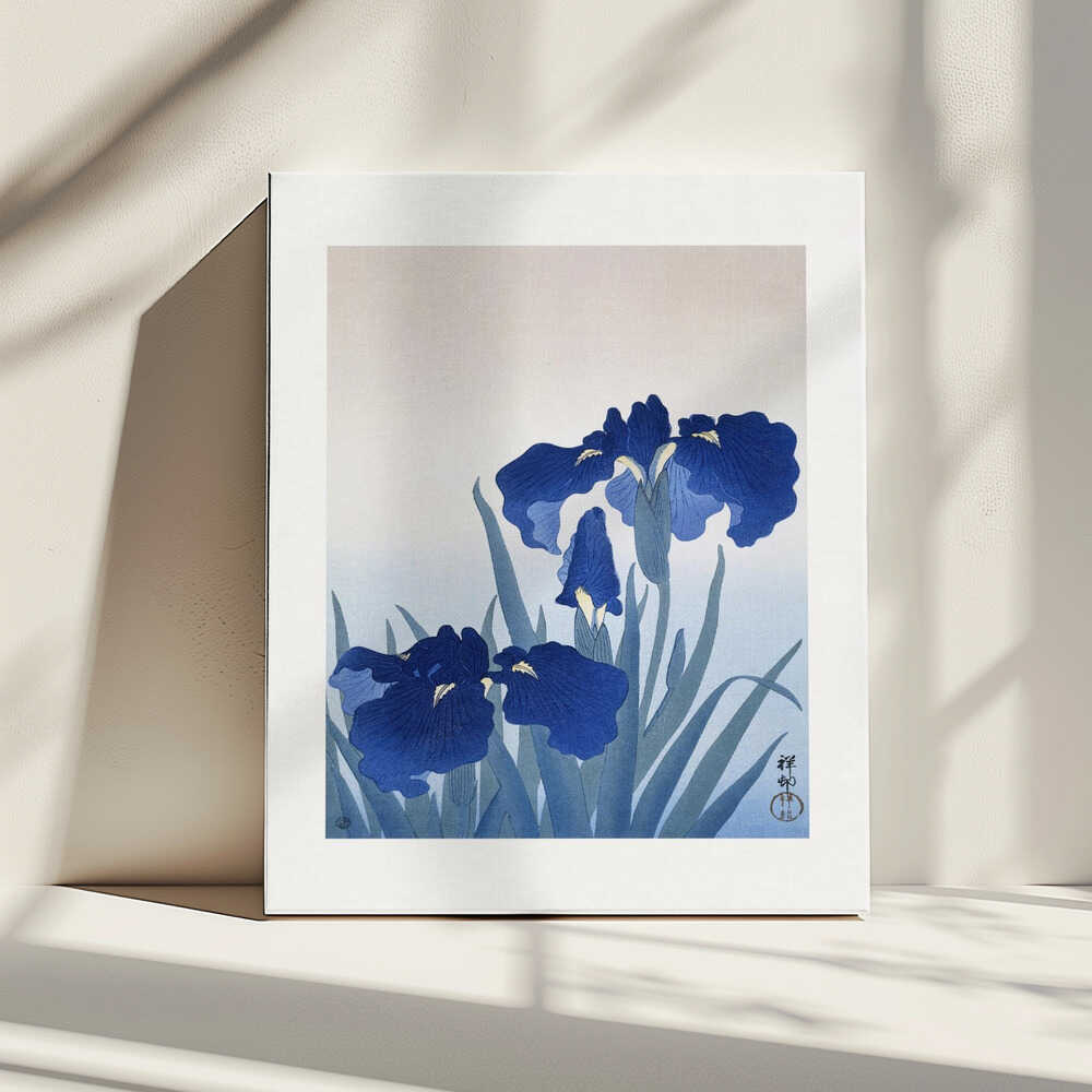 Iris Flowers, arte de Ohara Koson impreso en canvas