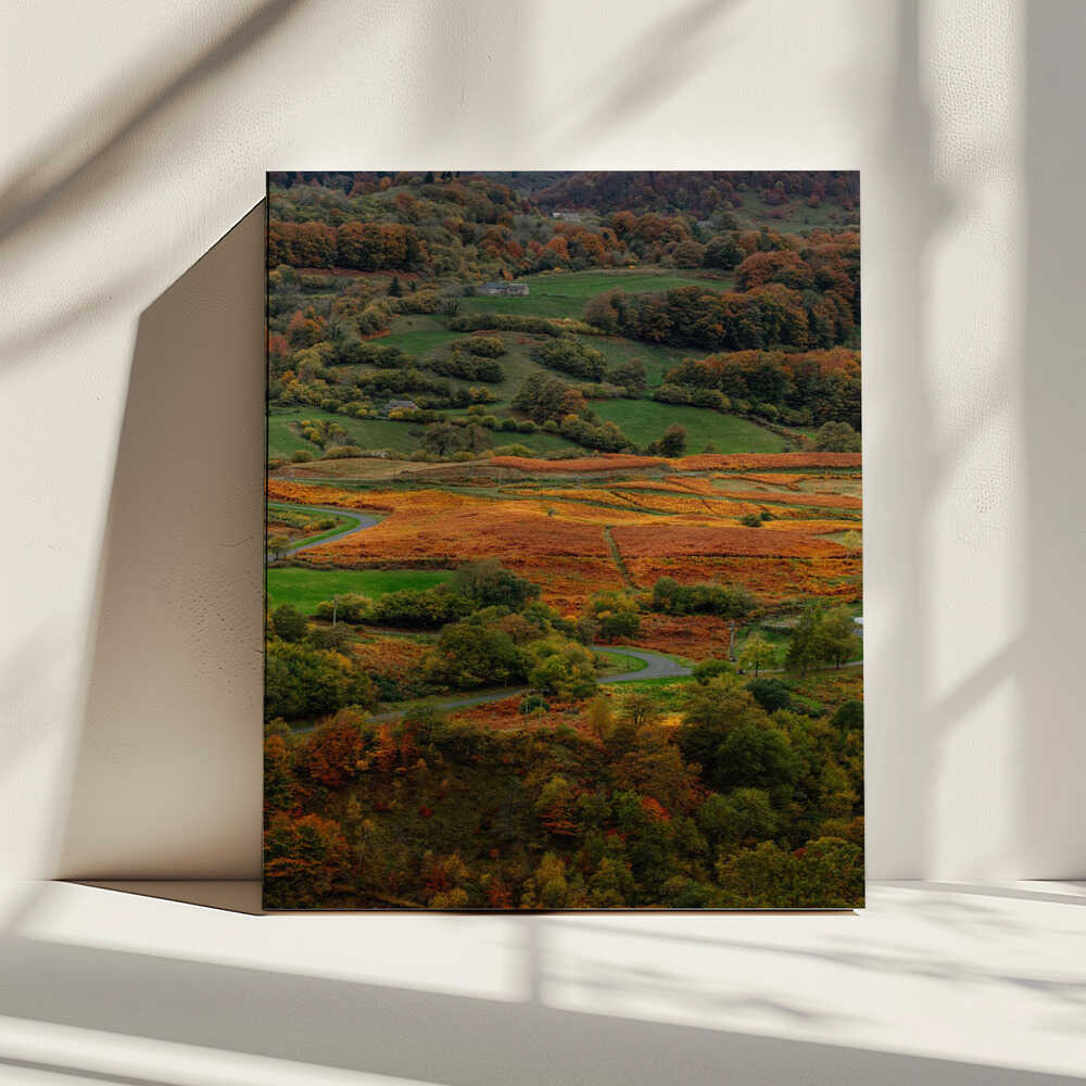 Winding Autumn Road, arte de Javier Pardina impreso en canvas