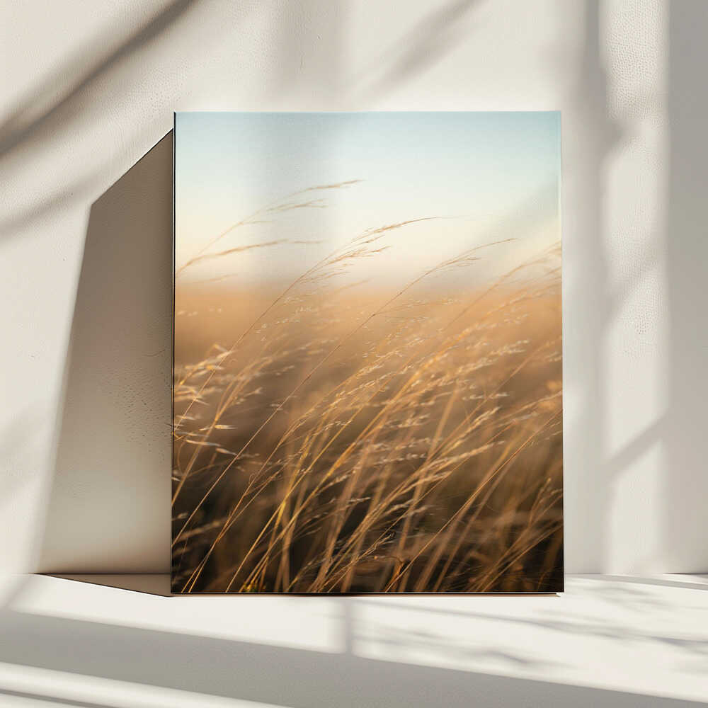 Golden Hour Grass, arte de Javier Pardina impreso en canvas