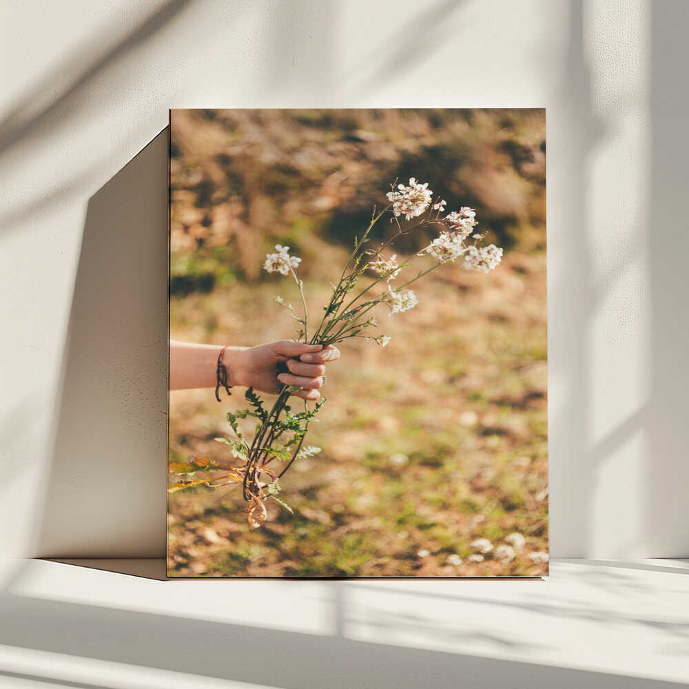 Delicate Wildflowers in Hand, arte de Javier Pardina impreso en canvas