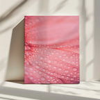 Soft Pink Bloom, arte de Javier Pardina impreso en canvas