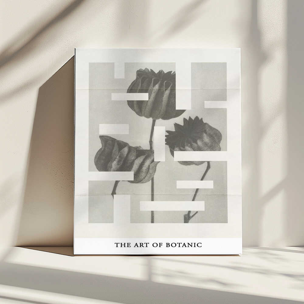 The art of botanic No.1, arte de THE MIUUS STUDIO impreso en canvas