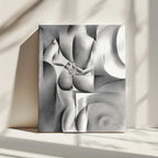 Elegant Geometric Nude, arte de Corné Akkers impreso en canvas