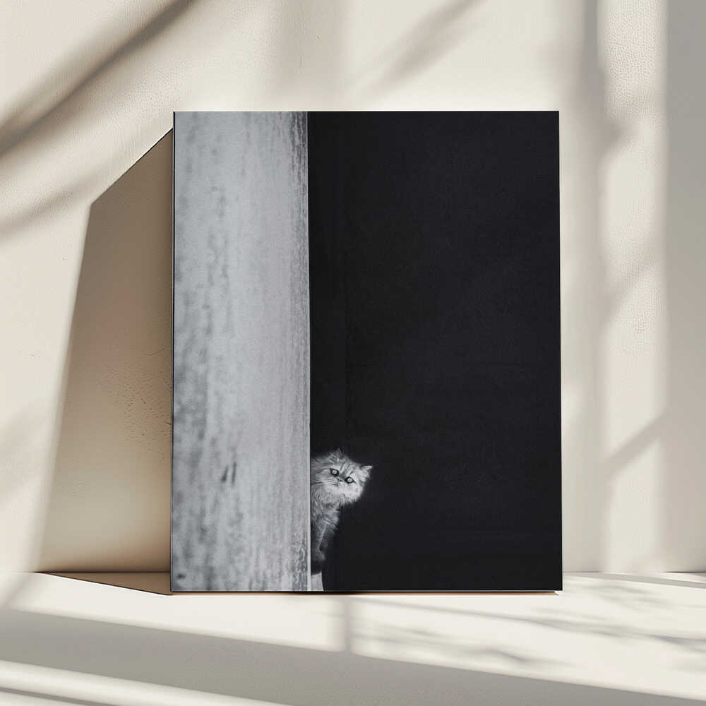 Curious Peeking Cat, arte de Sajad Aslani impreso en canvas