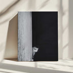 Curious Peeking Cat, arte de Sajad Aslani impreso en canvas