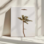 Palm Tree Pelican Flight, arte de Del Mundo Imagery impreso en canvas