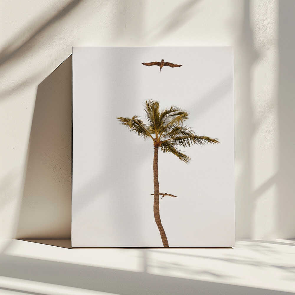Palm Tree Pelican Flight, arte de Del Mundo Imagery impreso en canvas