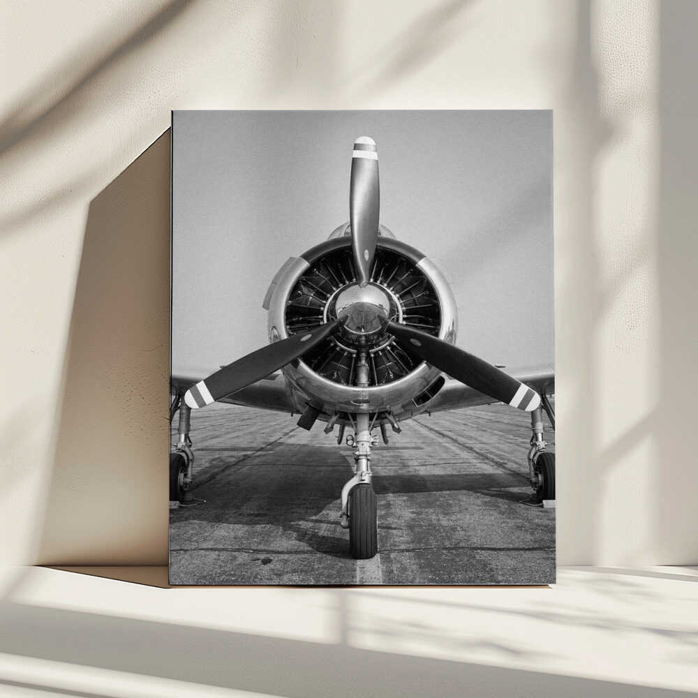 Polished Vintage Aircraft, arte de Andreas Magnusson impreso en canvas