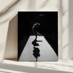 Playful Kitten Shadow, arte de Jure Kravanja impreso en canvas