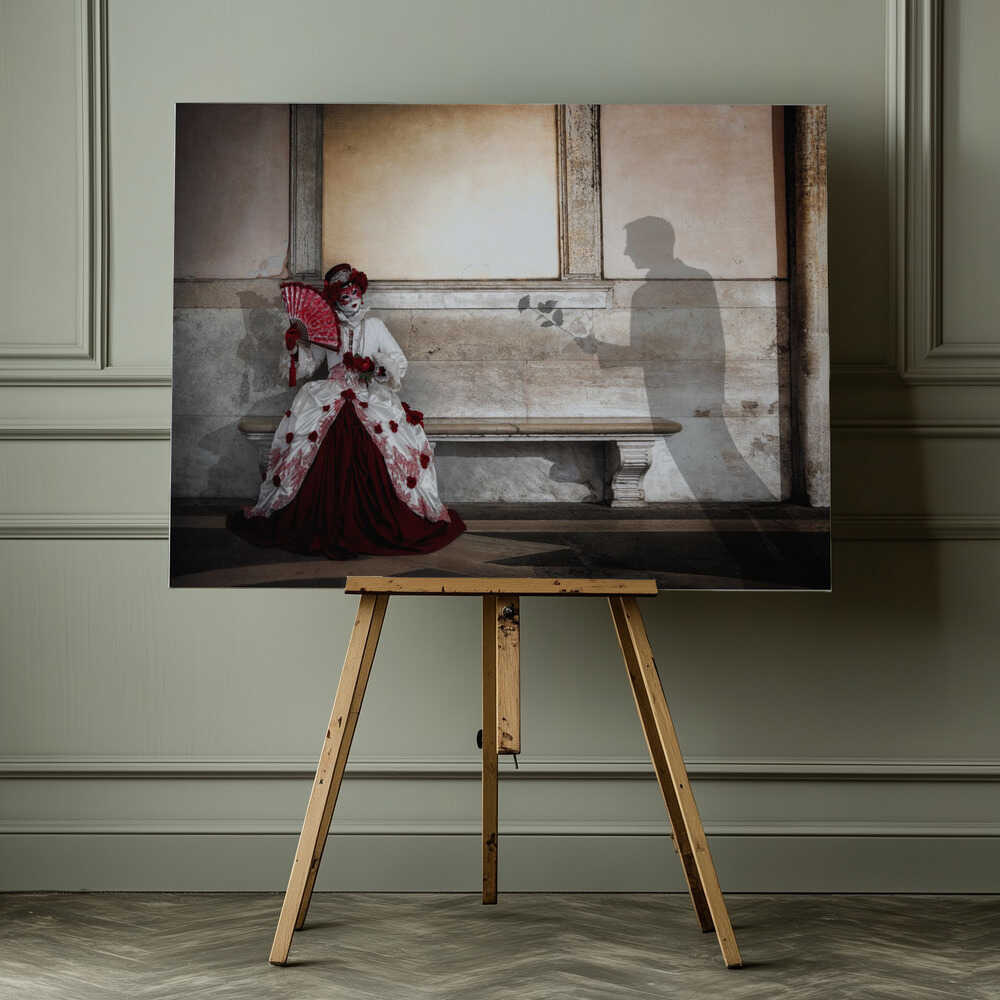 Shadow's Romantic Gesture, arte de Renee Doyle impreso en canvas