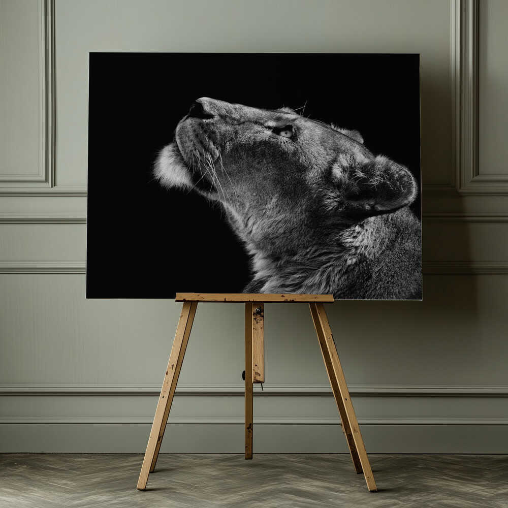 Majestic Lioness Gaze, arte de Christian Meermann impreso en canvas