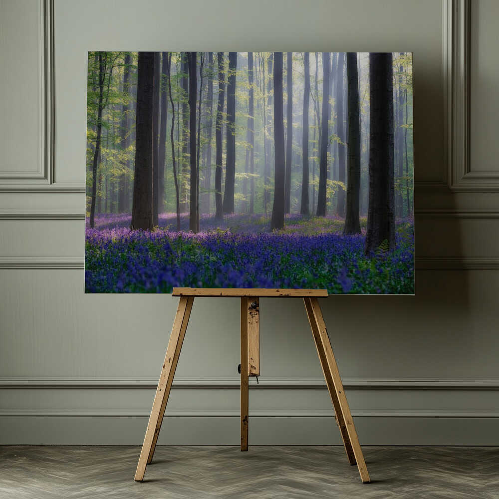 Misty Bluebell Forest