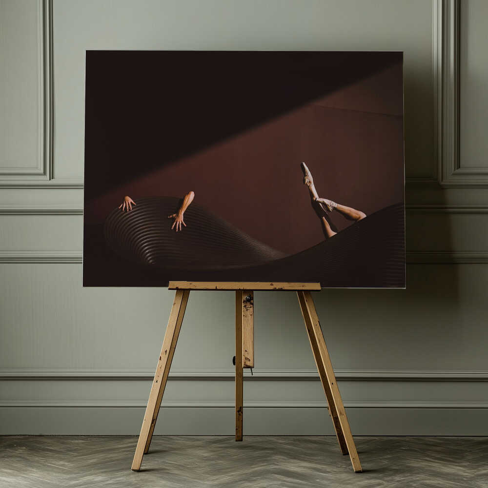 Ballet Forms In Shadow, arte de Oshrit Nitzan impreso en canvas