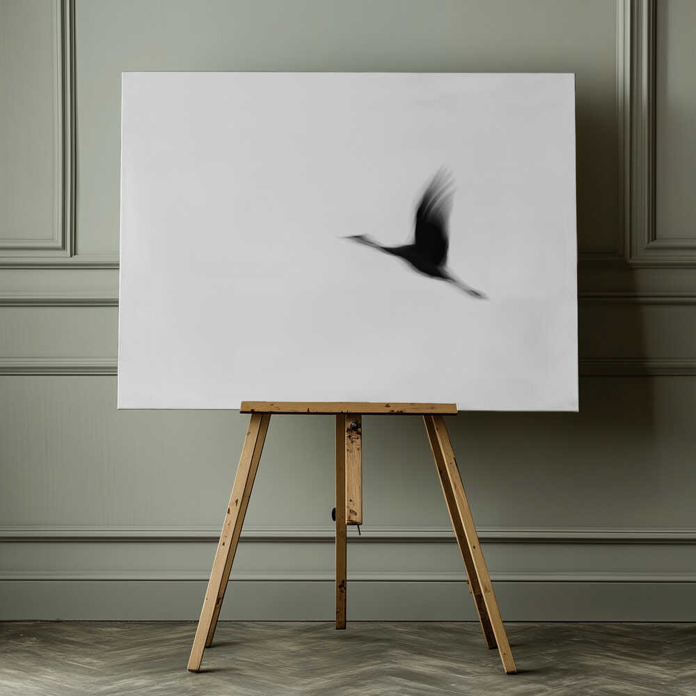 Graceful Motion Flight, arte de Tal Paz-Fridman impreso en canvas