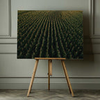 Golden Corn Field Rows, arte de Javier Pardina impreso en canvas