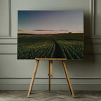 Curving Farm Field, arte de Javier Pardina impreso en canvas