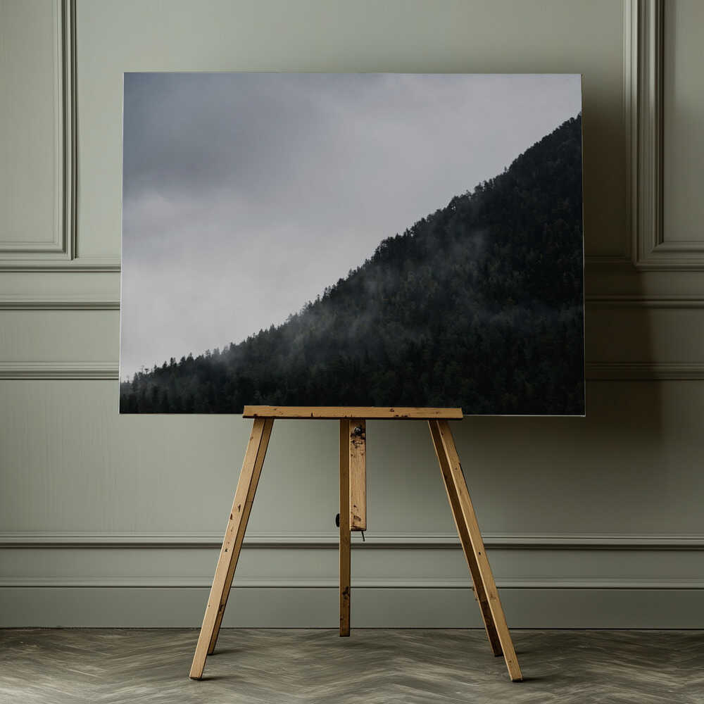 Misty Mountain Forest, arte de Javier Pardina impreso en canvas