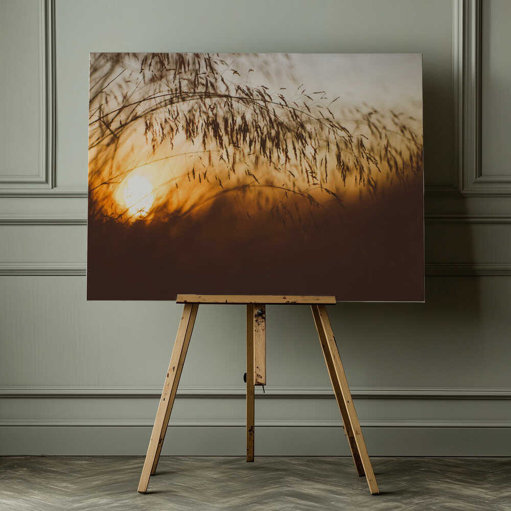 Golden Hour Grass, arte de Javier Pardina impreso en canvas