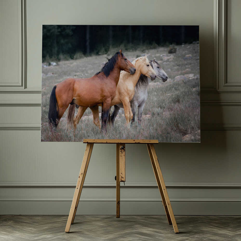 Three Wild Horses, arte de Linda Louw impreso en canvas