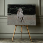 Wild Horse In Meadow, arte de Linda Louw impreso en canvas