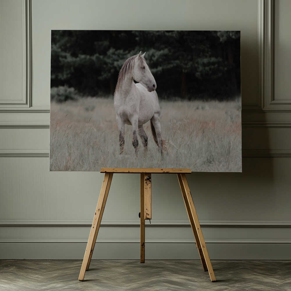 Wild Horse In Meadow, arte de Linda Louw impreso en canvas