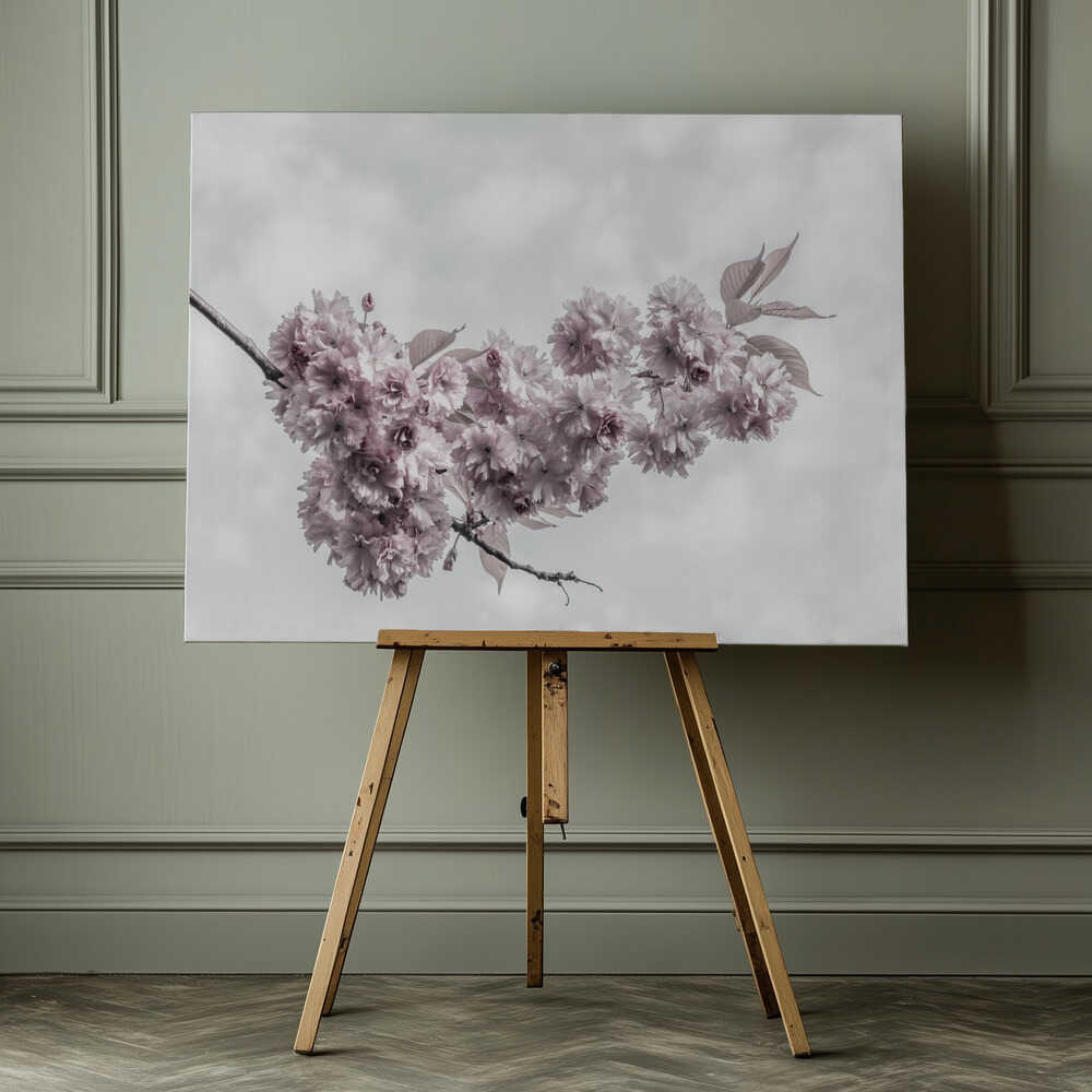 Dreamy Pink Blooms, arte de Melanie Viola impreso en canvas