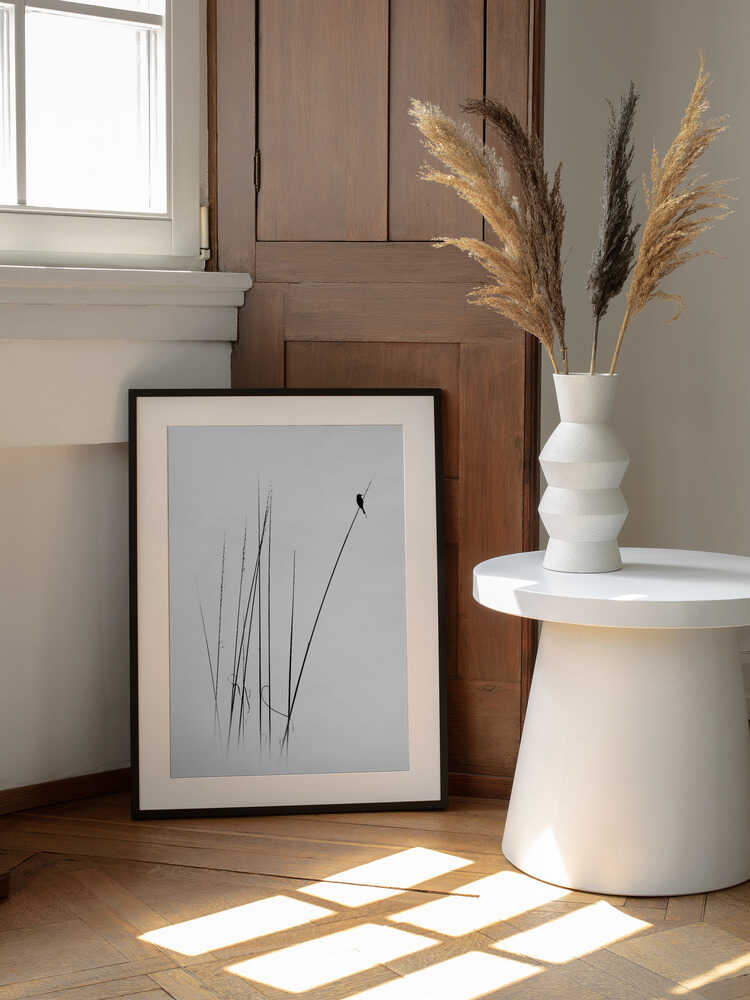 Graceful Reed Bird