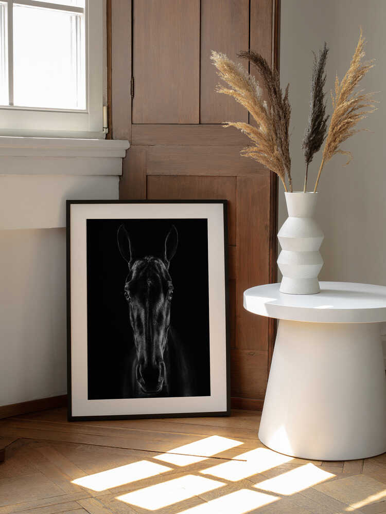 Black Horse Portrait