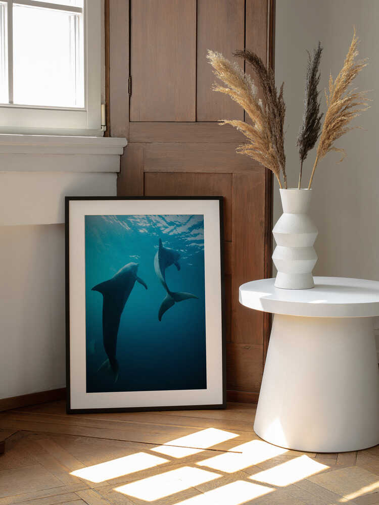 Graceful Ocean Dolphins, arte de Serge Melesan enmarcado en una pared