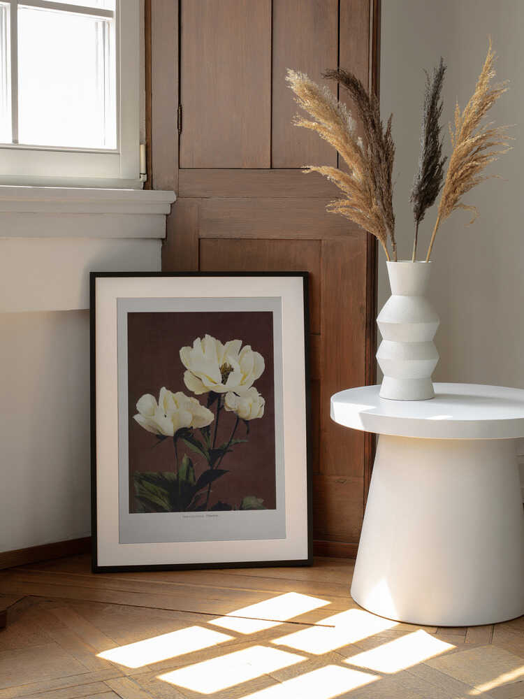 Hærdaceous Peony, arte de Ogawa Kazumasa enmarcado en una pared