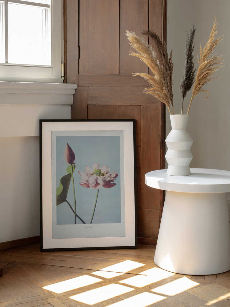 Lotus Flowers, arte de Ogawa Kazumasa enmarcado en una pared