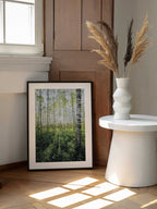 Birch Grove vertical