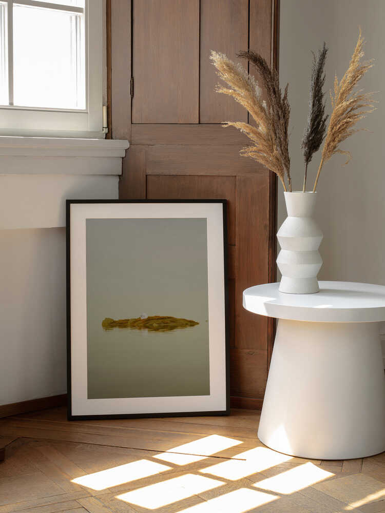 Floating Moss Island Pearl, arte de Javier Pardina enmarcado en una pared