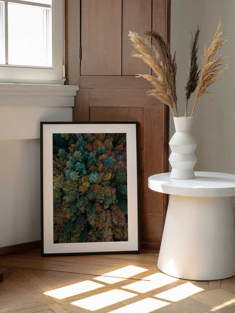 Vibrant Autumn Forest, arte de Javier Pardina enmarcado en una pared